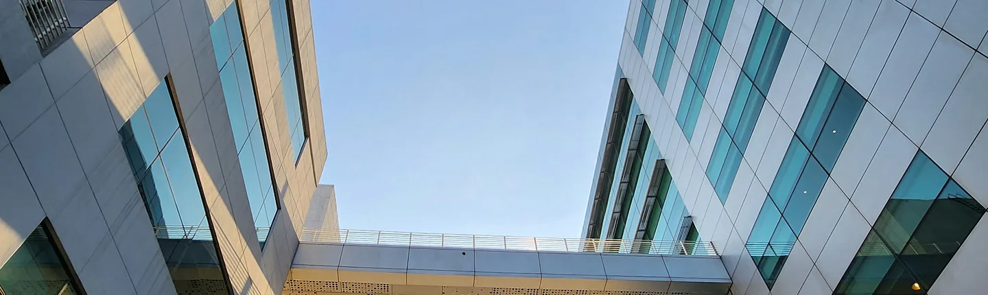profile img